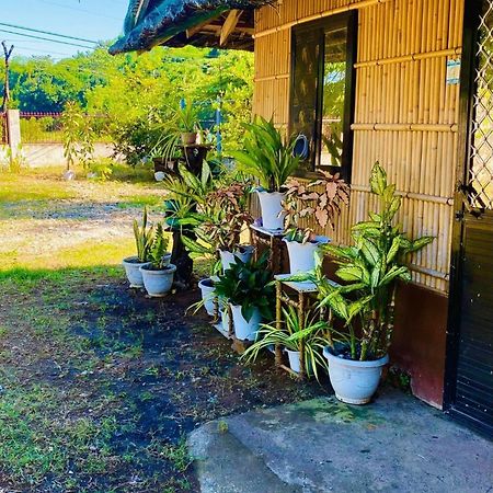 Casa De Flores Alaminos Dış mekan fotoğraf