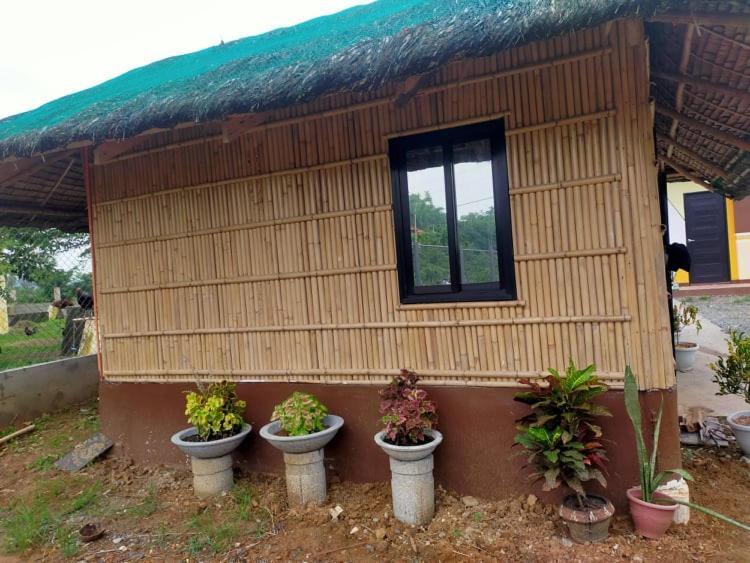 Casa De Flores Alaminos Dış mekan fotoğraf